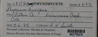 Image Associated With the Occurence